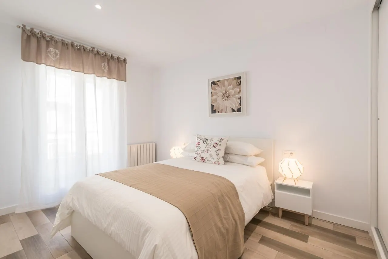 Apartamentos Centro En Recogidas, Granada Spain