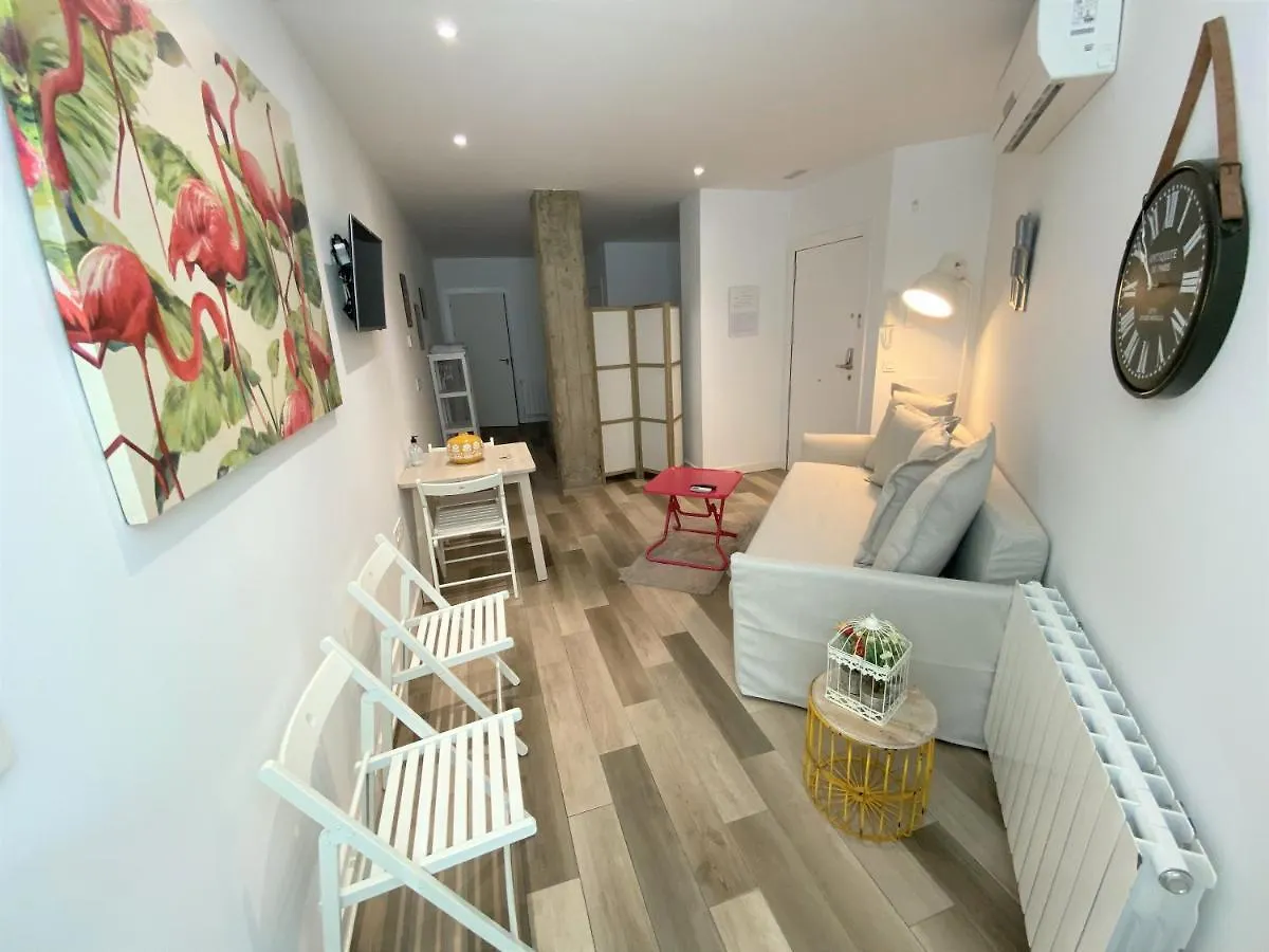 Apartamentos Centro En Recogidas, Granada Spain